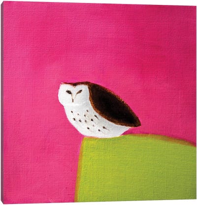 Owl On Pink & Green Canvas Art Print - Owl Art