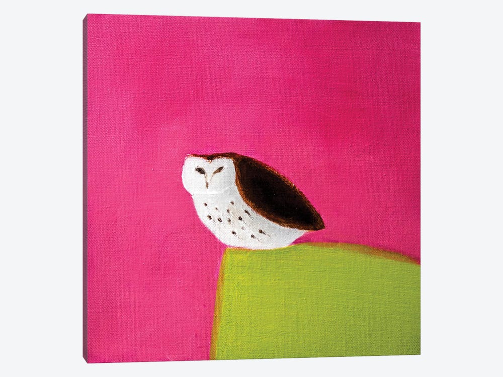 Owl On Pink & Green by Andrew Squire 1-piece Canvas Art Print