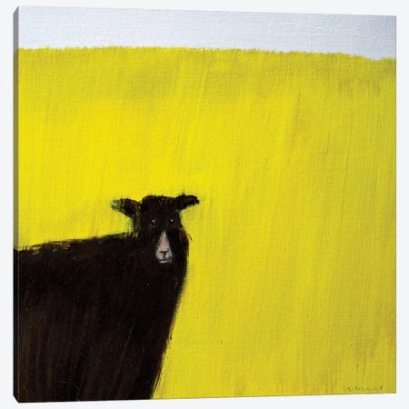Another Goat Canvas Print #SQU1} by Andrew Squire Canvas Art Print