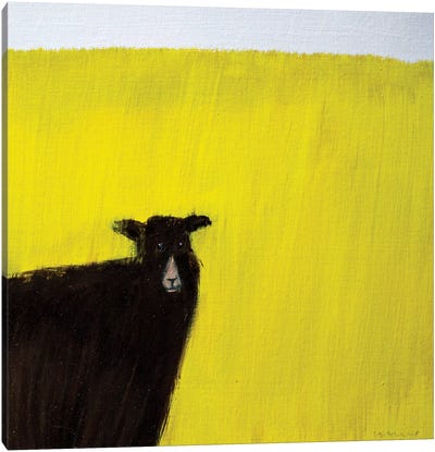 Another Goat Canvas Art Print - Andrew Squire