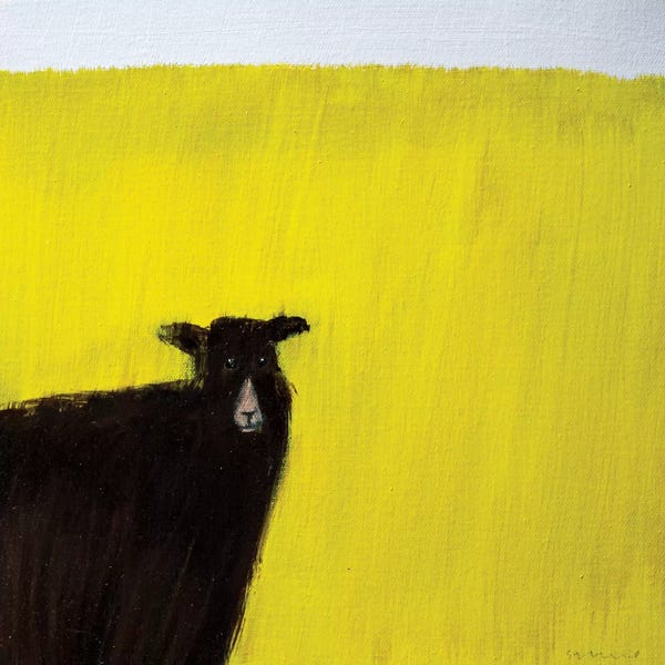 Pantone: Another Goat by Andrew Squire