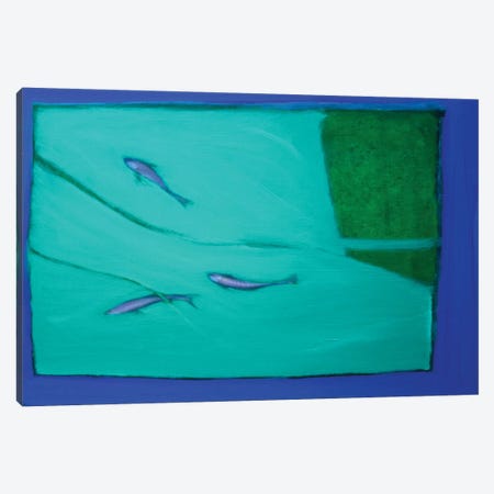 Three Fish Canvas Print #SQU23} by Andrew Squire Canvas Artwork