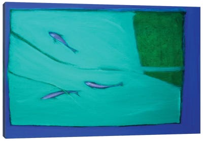 Three Fish Canvas Art Print - Andrew Squire