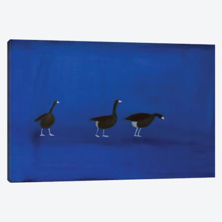 Three Geese Canvas Print #SQU24} by Andrew Squire Art Print