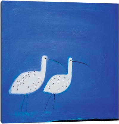 Two Curlews Canvas Art Print - Andrew Squire