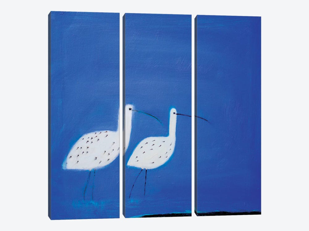 Two Curlews by Andrew Squire 3-piece Canvas Wall Art