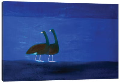 Two Geese Canvas Art Print - Andrew Squire