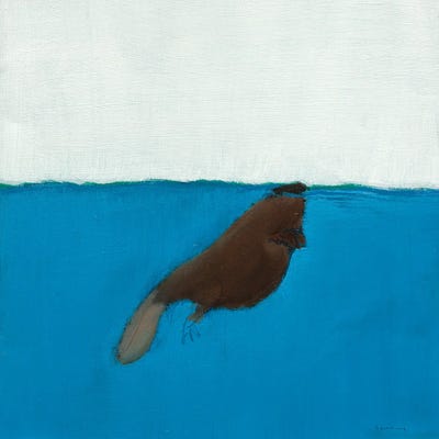 Beaver by Andrew Squire metal wall art