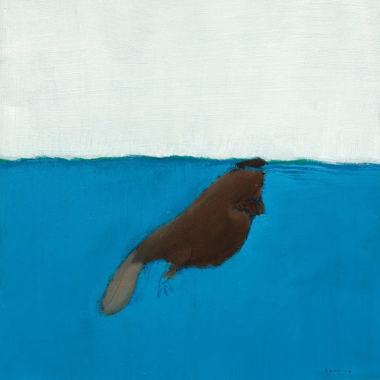 Beaver by Andrew Squire wall art