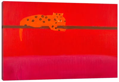 Jaguar Canvas Art Print - Andrew Squire