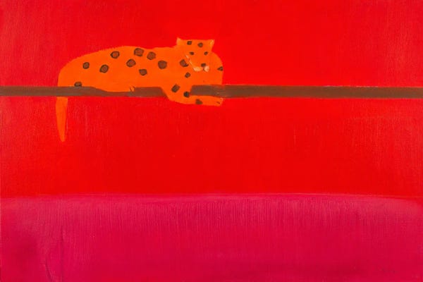 Jaguars: Jaguar by Andrew Squire