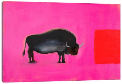 Bison Canvas Art Print - Andrew Squire