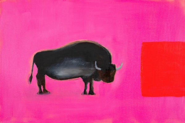 Unexpected Red: Bison by Andrew Squire