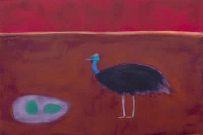 Cassowary by Andrew Squire metal wall art