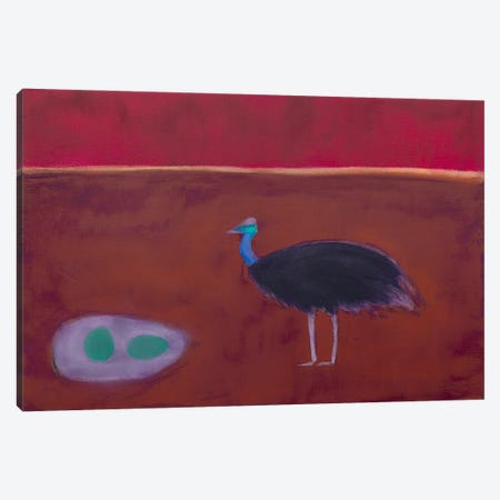 Cassowary Canvas Print #SQU37} by Andrew Squire Canvas Art