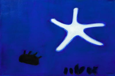 Starfish by Andrew Squire metal wall art