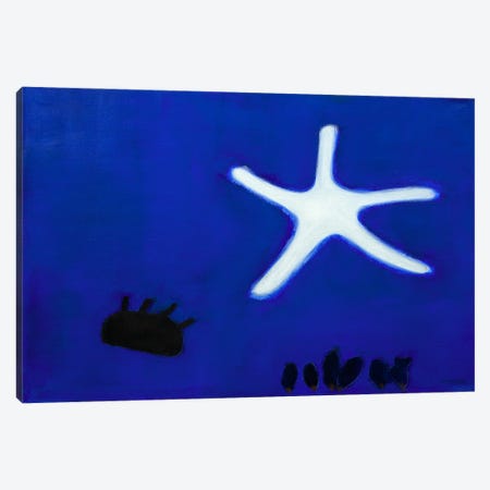 Starfish Canvas Print #SQU38} by Andrew Squire Art Print