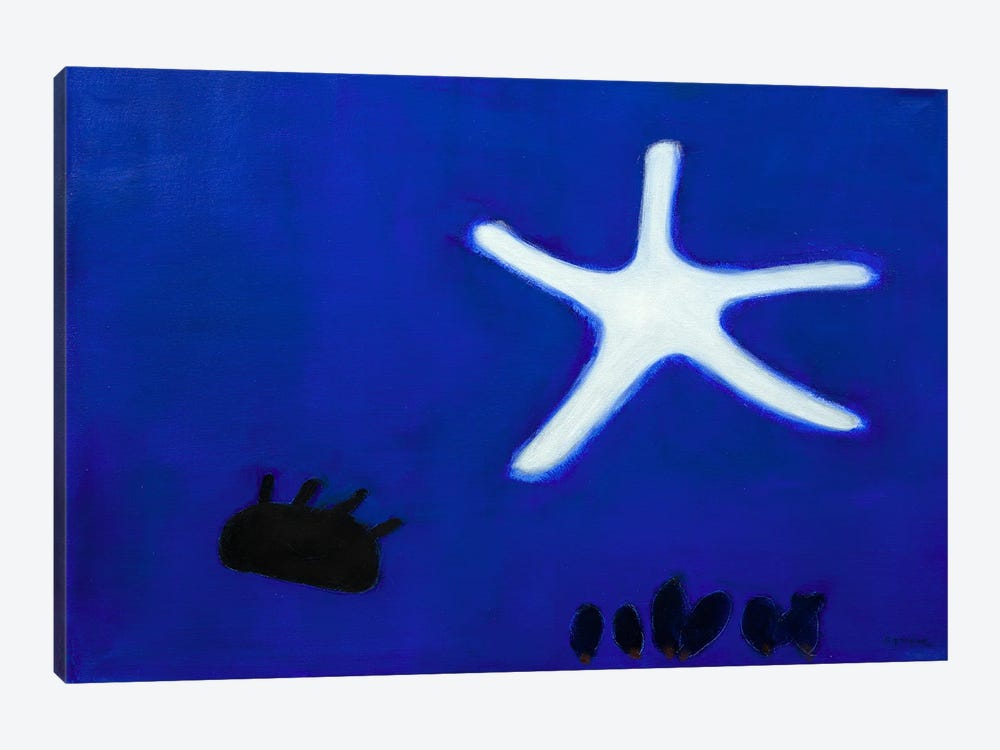 Starfish by Andrew Squire 1-piece Canvas Artwork