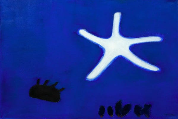 International Klein Blue: Starfish by Andrew Squire
