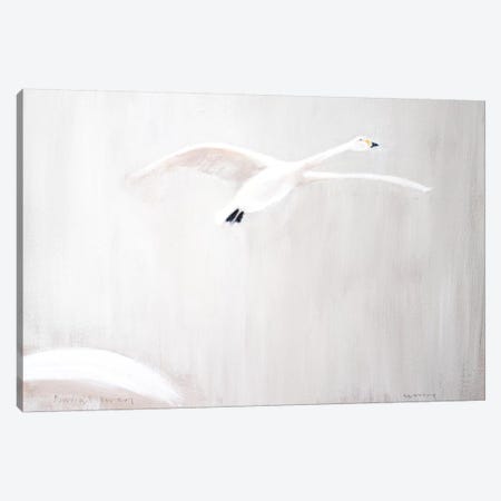 Bewick's Swan Canvas Print #SQU3} by Andrew Squire Canvas Print