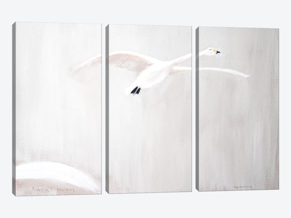 Bewick's Swan by Andrew Squire 3-piece Art Print
