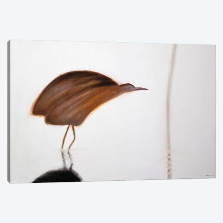 Bittern Canvas Print #SQU4} by Andrew Squire Canvas Wall Art