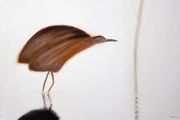 Andrew Squire: Bittern by Andrew Squire