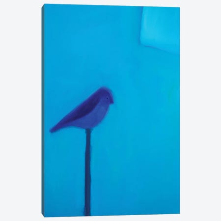 Blue Bird Canvas Print #SQU5} by Andrew Squire Canvas Art