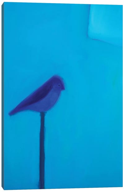 Blue Bird Canvas Art Print - Andrew Squire