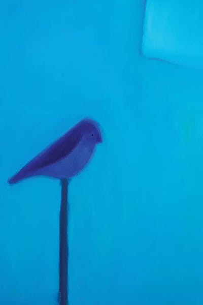 Andrew Squire: Blue Bird by Andrew Squire