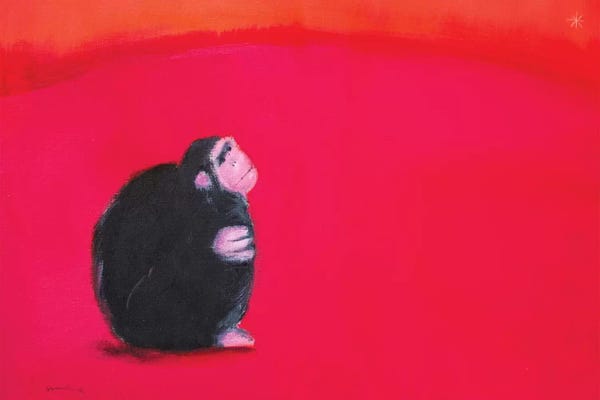 Primates: Bonobo by Andrew Squire