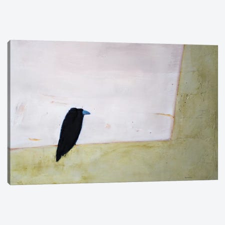 Crow Window Canvas Print #SQU9} by Andrew Squire Canvas Art Print