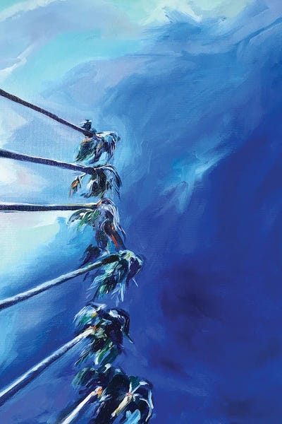 Miami: Miami Palms by Sasha Robinson