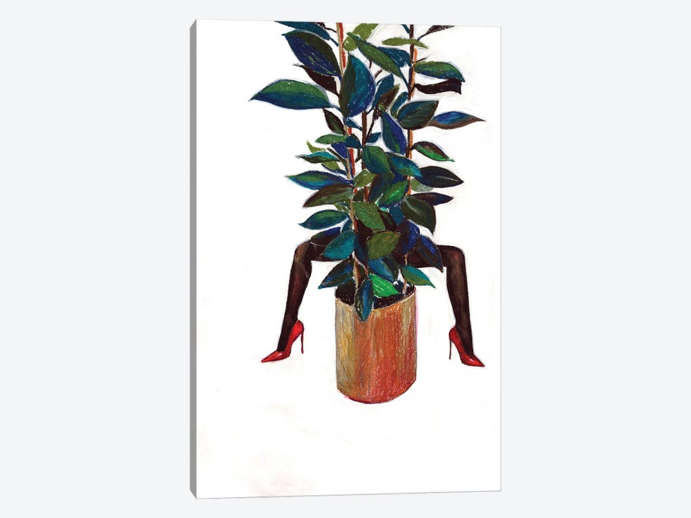 Green Home Plant by Sasha Robinson 1-piece Canvas Art Print