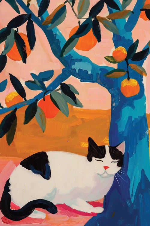 Black Cat Under An Orange Tree