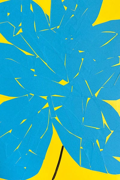 Blue Flower On Yellow Background