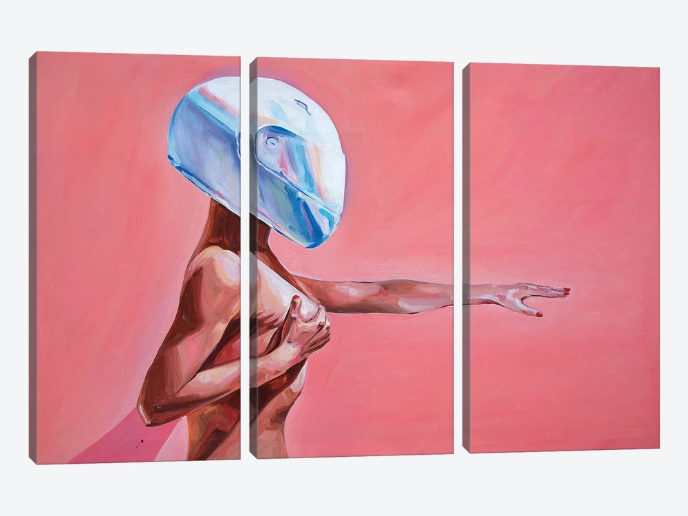 Pink Dream by Sasha Robinson 3-piece Canvas Print
