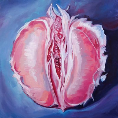 Just Grapefruit by Sasha Robinson framed canvas print