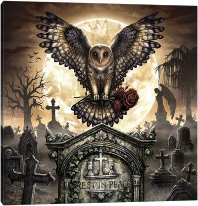 Rest In Peace Graveyard Owl Canvas Art Print - Sarah Richter