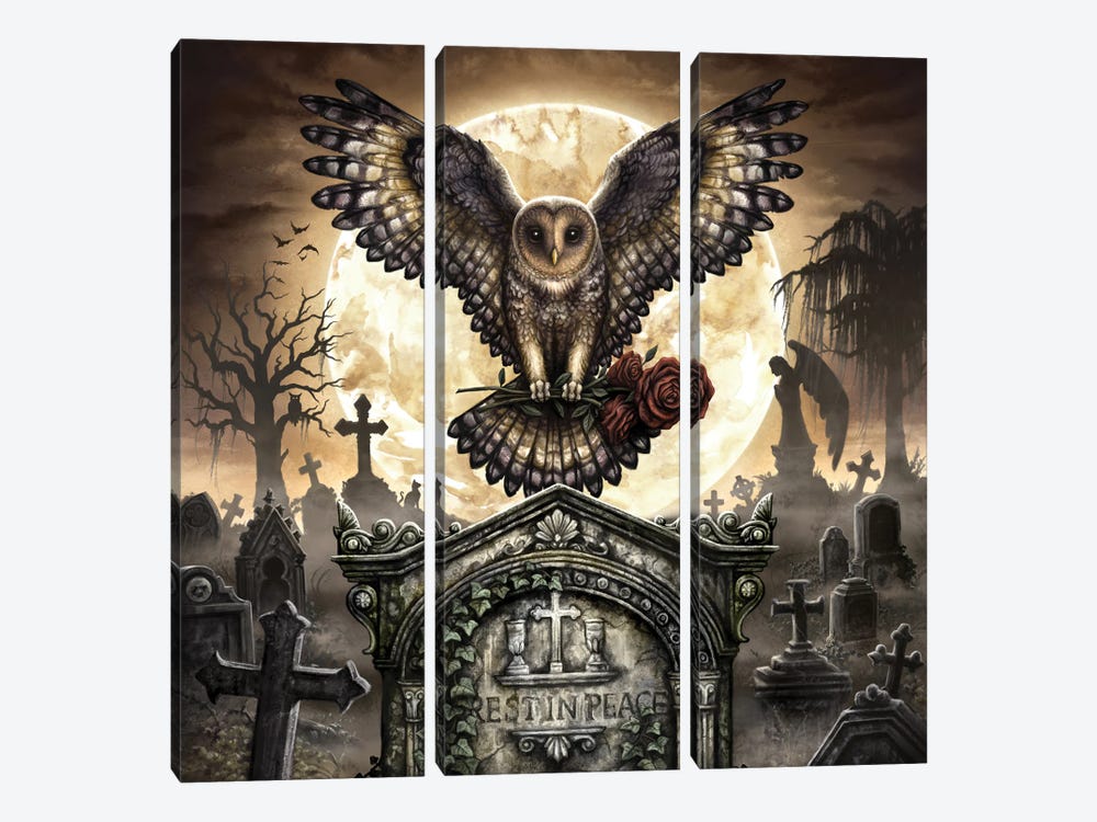 Rest In Peace Graveyard Owl by Sarah Richter 3-piece Canvas Wall Art