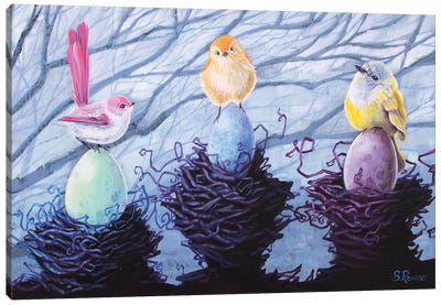 Three Little Birds Canvas Art Print - Suzanne Rende