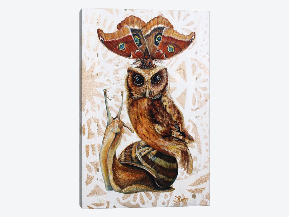 Wise Guy by Suzanne Rende 1-piece Art Print