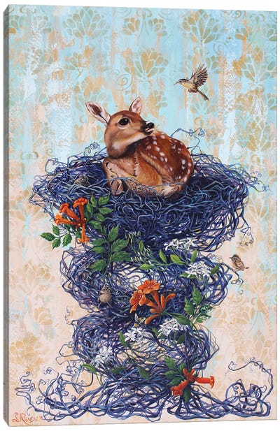 Deer Guest Canvas Art Print - Suzanne Rende