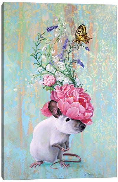 Fancy Rat 2 Canvas Art Print - Suzanne Rende