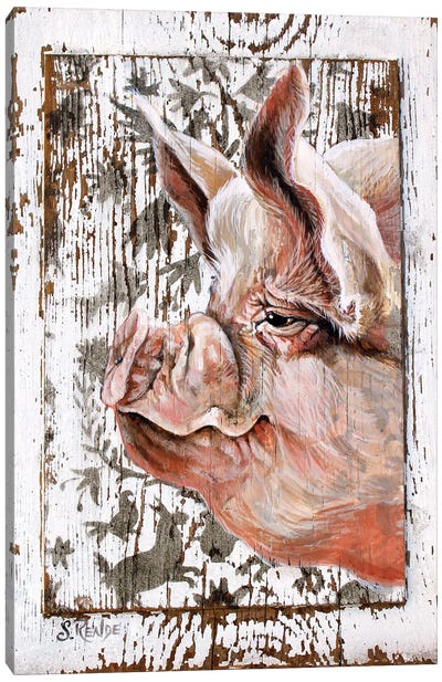 Happy Pig Canvas Art Print - Suzanne Rende