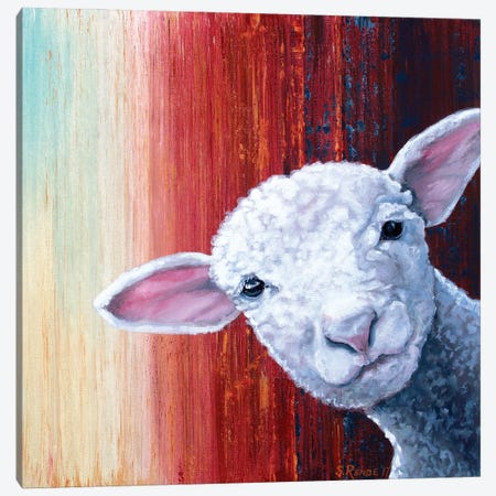 Lamb Canvas Print #SRD32} by Suzanne Rende Canvas Wall Art