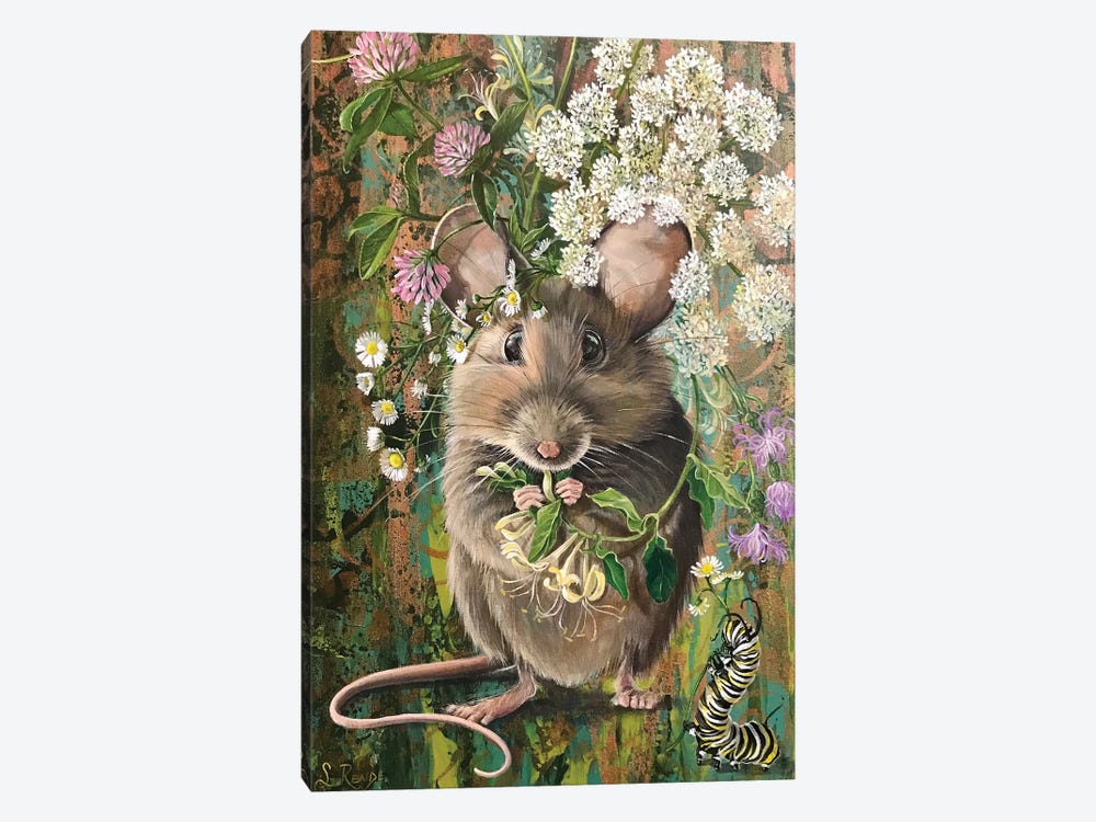Country Mouse by Suzanne Rende 1-piece Canvas Wall Art