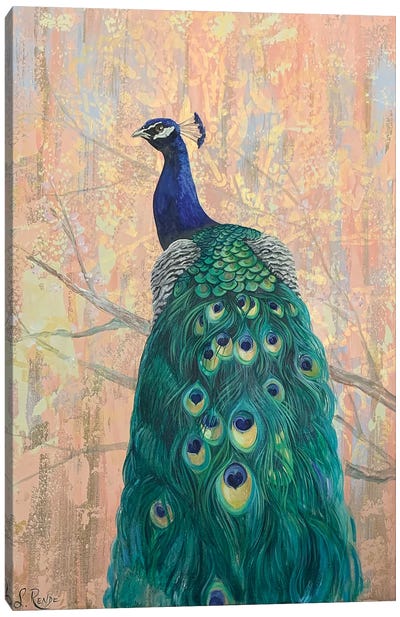 Some Tail Feathers Canvas Art Print - Suzanne Rende