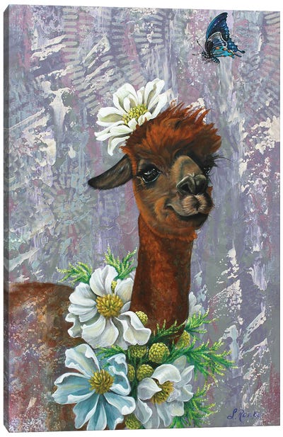 Ally And Blue Canvas Art Print - Llama & Alpaca Art