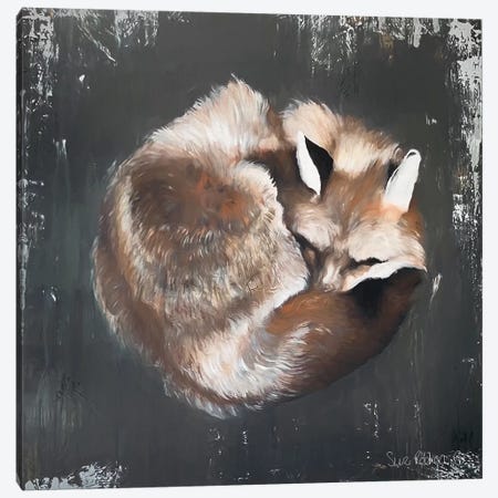 Sleeping Fox No. 11 Canvas Print #SRE10} by Suzi Redman Art Print